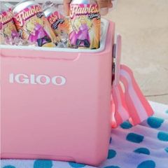  Hộp giữ lạnh Igloo 