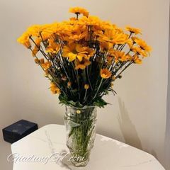  Lọ hoa pha lê Bohemia Flamenco 30cm trong suốt - CH Séc 