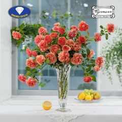  Lọ hoa pha lê Bohemia Optika 31cm trong suốt 