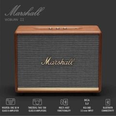  Loa Bluetooth Marshall Woburn 2 