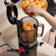  Máy ép chậm Hurom H300L - Nhiều màu 