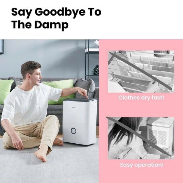Máy hút ẩm Comfee MDDF 16DEN7 - 16 lít / 24 giờ