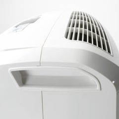  Máy hút ẩm Delonghi DD30P / DD230P 30L/ngày 