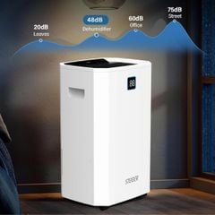  Máy hút ẩm Steiger STG 855DW 55L 