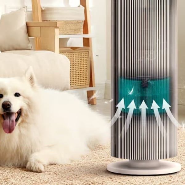 Máy lọc không khí LG PuriCare Aero Booster Pet AS55GGSY0