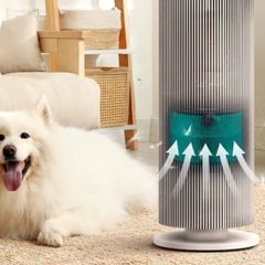  Máy lọc không khí LG PuriCare Aero Booster Pet AS55GGSY0 