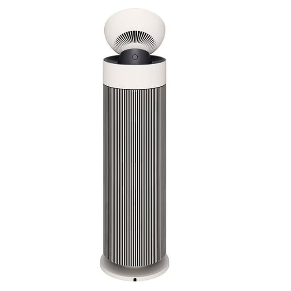 Máy lọc không khí LG PuriCare Aero Booster Pet AS55GGSY0