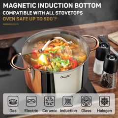  Nồi Inox Ciwete Royal Knight 20cm 