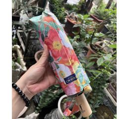  Ô 2 lớp Magrace Paris chống tia UV 