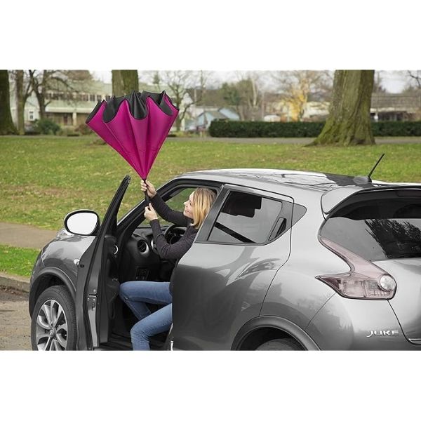 Ô ngược ShedRain