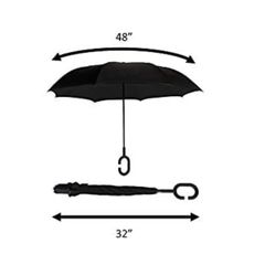  Ô ngược ShedRain 