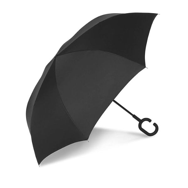 Ô ngược ShedRain