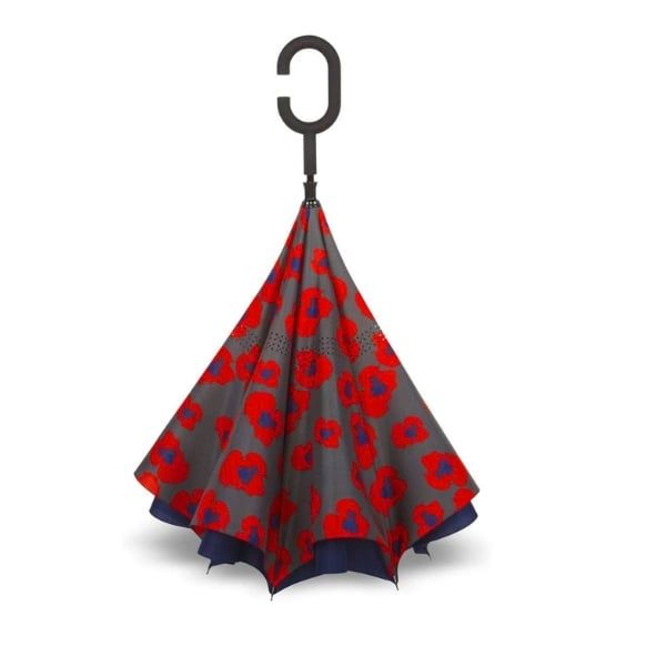 Ô ngược ShedRain