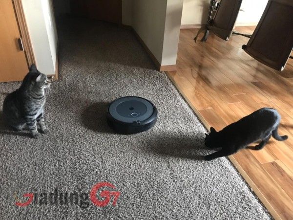Robot hút bụi iRobot Roomba i3+ Plus tự động hút bụi làm sạch hiệu quả