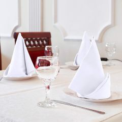  Set 12 Khăn Ăn Utopia 51x51cm 