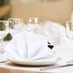  Set 12 Khăn Ăn Utopia 51x51cm 