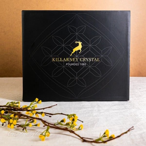 Set 6 ly pha lê Killarney Trinity Fluted 59ml uống rượu mạnh