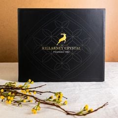  Set 6 ly pha lê Killarney Trinity Fluted 59ml uống rượu mạnh 