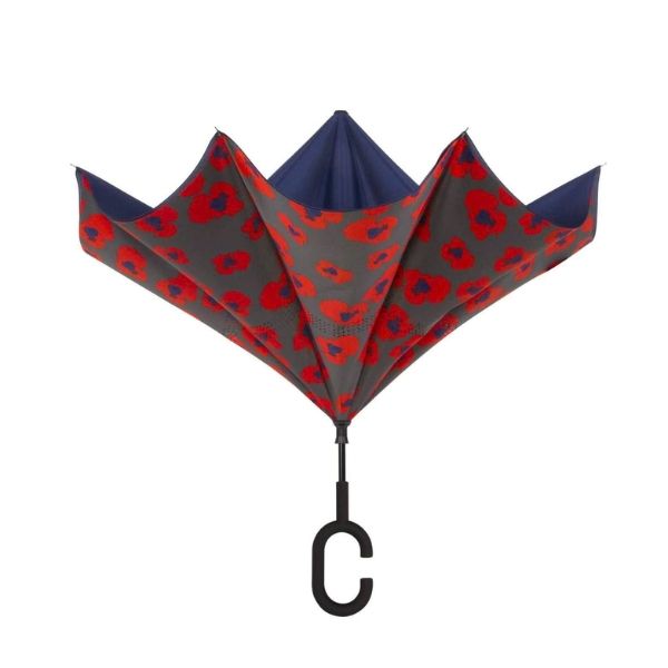 Ô ngược ShedRain