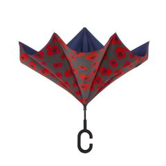  Ô ngược ShedRain 