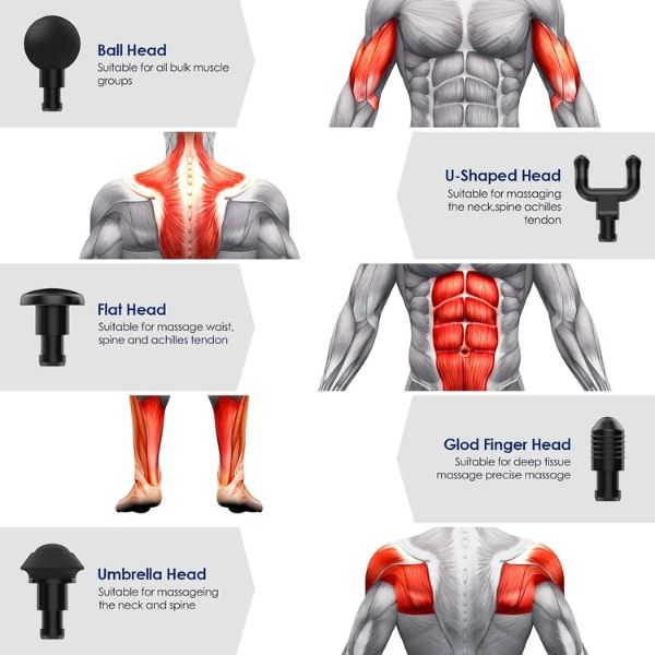 Súng massage cầm tay Anflag 5 đầu