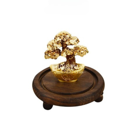 Cây tiền tài lộc dát vàng (14x14x17cm)