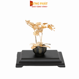 Chậu Lan Hồ Điệp 3 cành (23x16x23cm)