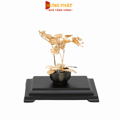 Chậu Lan Hồ Điệp 3 cành (23x16x23cm)