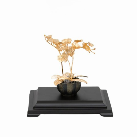 Chậu Lan Hồ Điệp 3 cành (23x16x23cm)