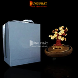 Chậu mai ngũ phúc dát vàng size S