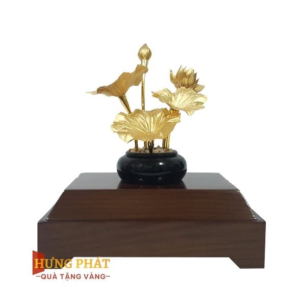 Chậu Sen 5 Cành Dát Vàng 24K