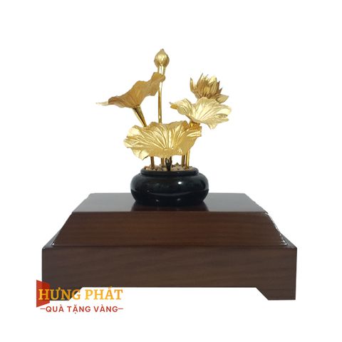 Chậu Sen 5 Cành Dát Vàng 24K