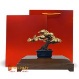 Cây Tùng Dát Vàng 24K (Mẫu 4)
