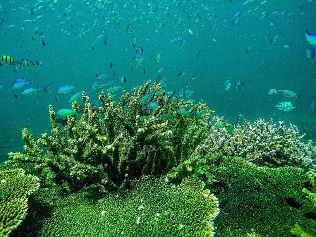 TOUR CÔN ĐẢO 2N2D: VÙNG ĐẤT TƯƠI ĐẸP - DẤU ẤN LỊCH SỬ