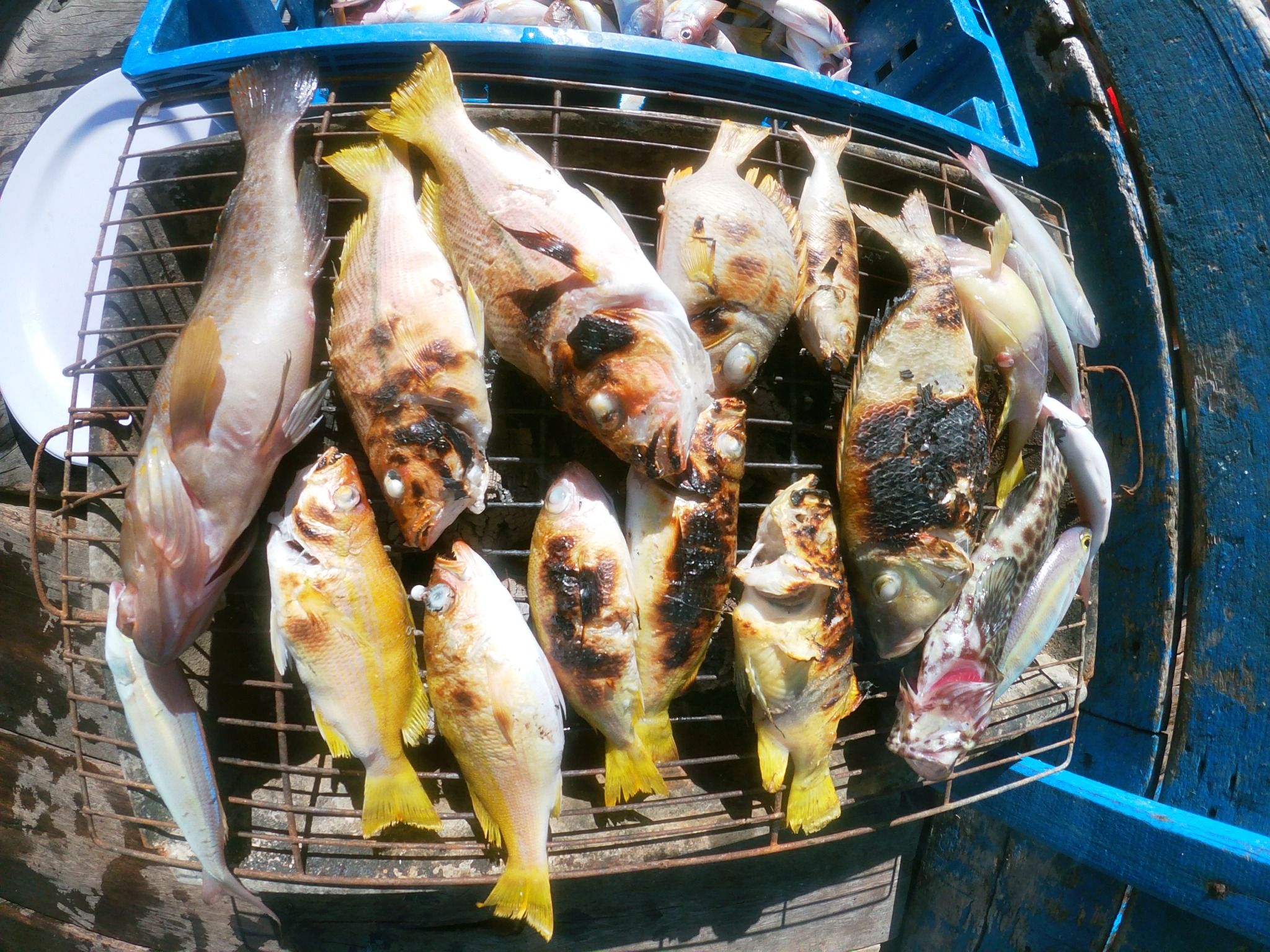 TOUR CÂU CÁ - LẶN NGẮM SAN HÔ NAM DU 1 NGÀY