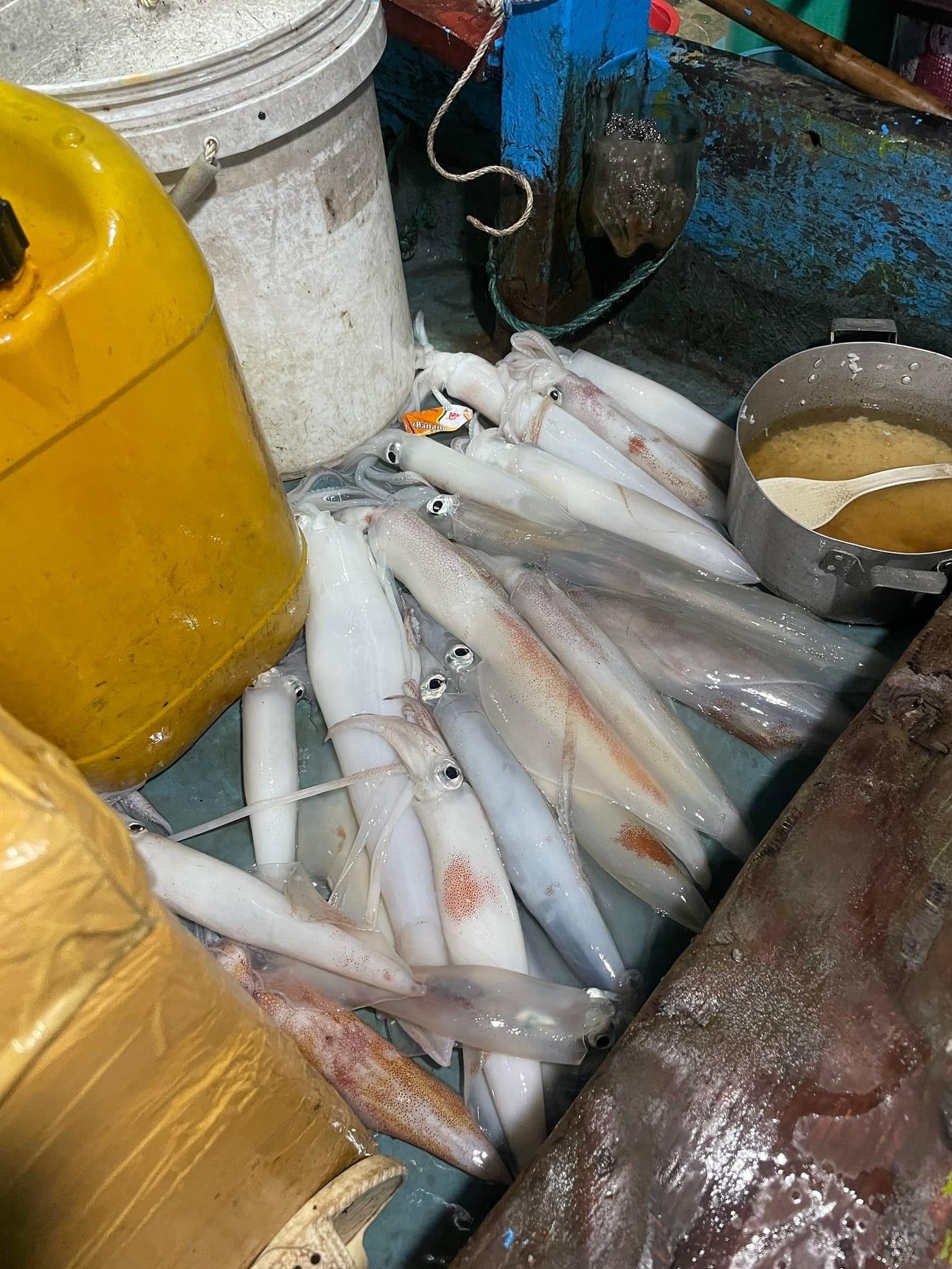 TOUR CÂU MỰC ĐÊM ĐẢO PHÚ QUÝ