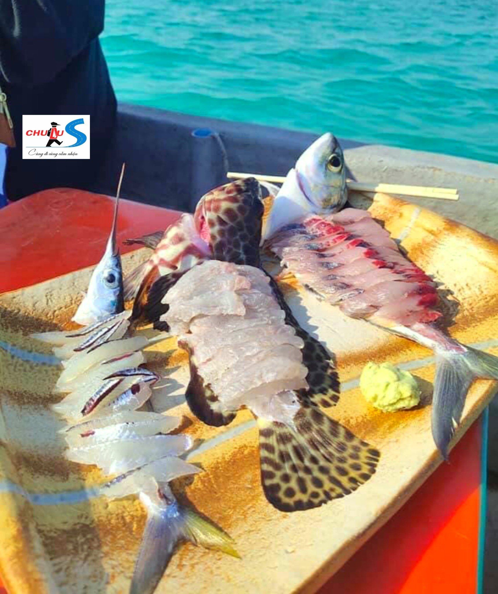 TOUR LẶN BIỂN SĂN BẮN CÁ ĐẢO PHÚ QUÝ