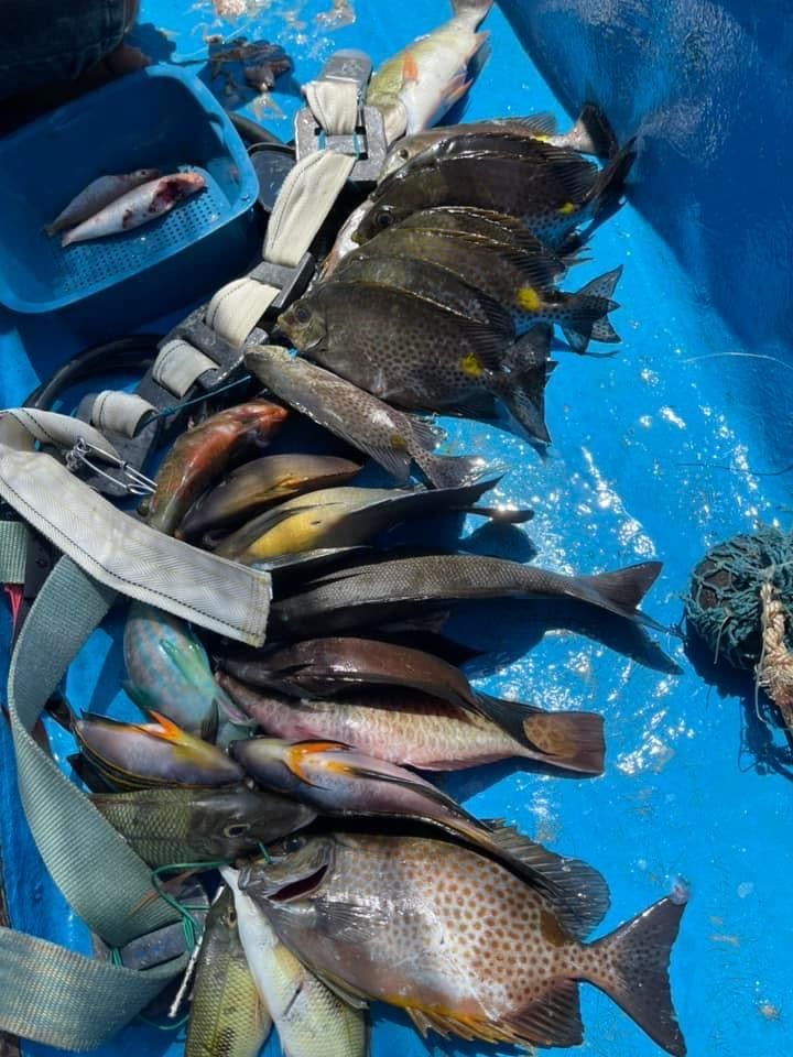 TOUR LẶN BIỂN SĂN BẮN CÁ ĐẢO PHÚ QUÝ