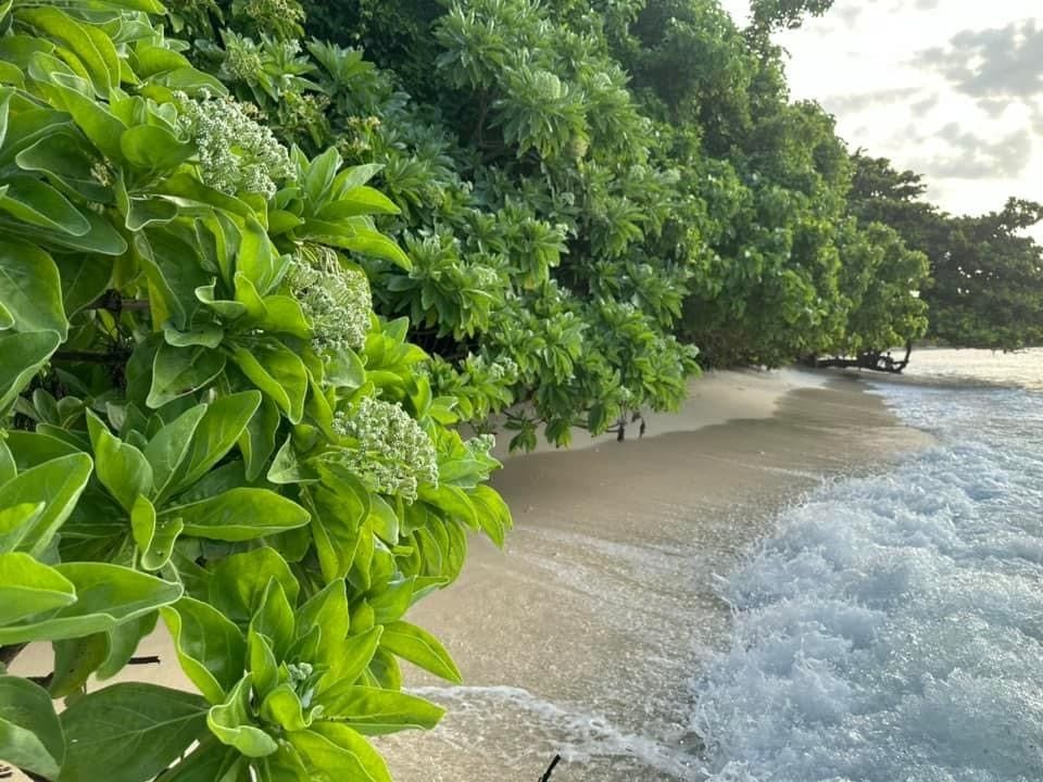 TOUR ĐẢO PHÚ QUỐC THỔ CHU 4 NGÀY 3 ĐÊM