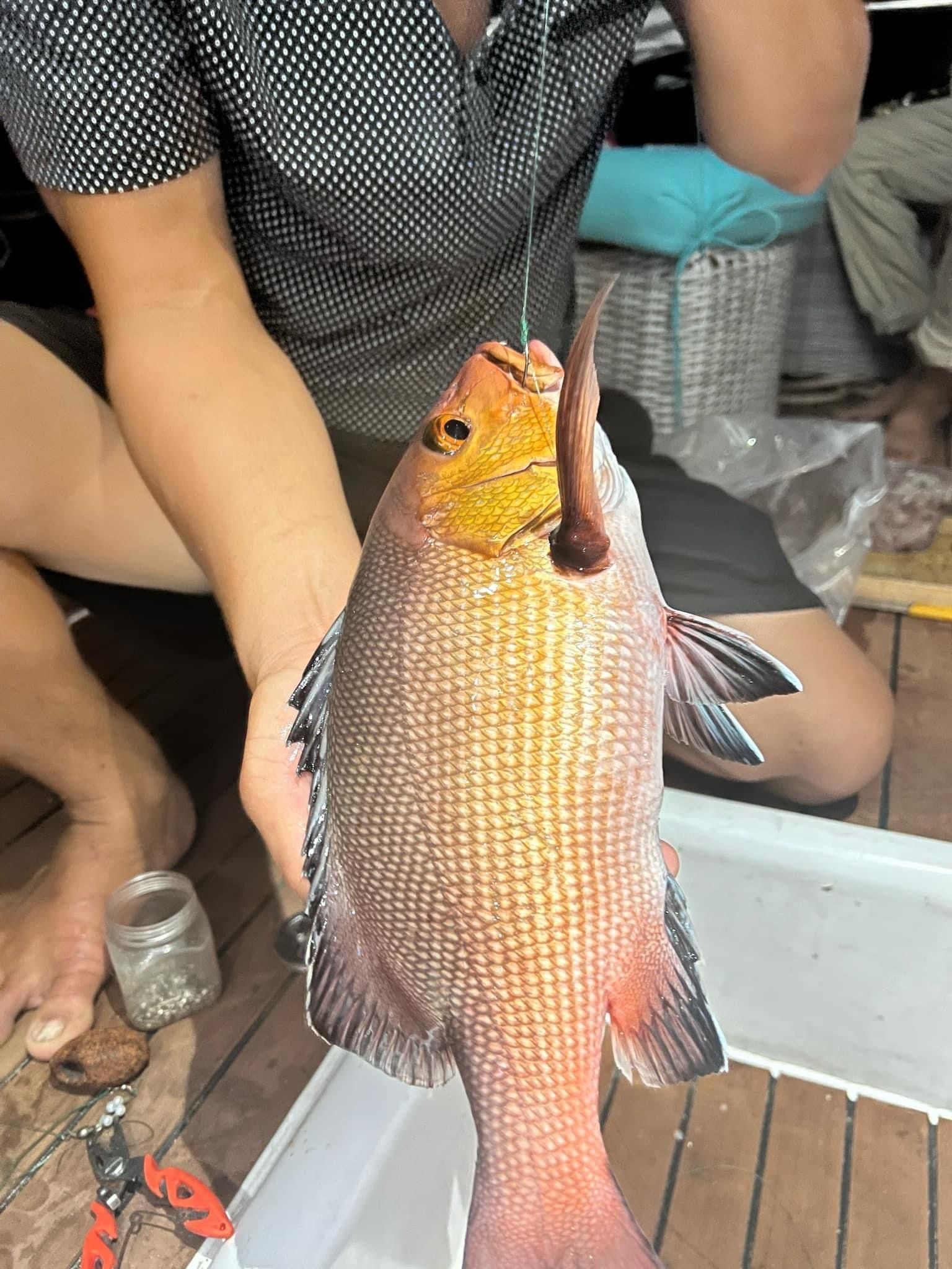 TOUR LẶN BIỂN SĂN BẮN CÁ ĐẢO PHÚ QUÝ