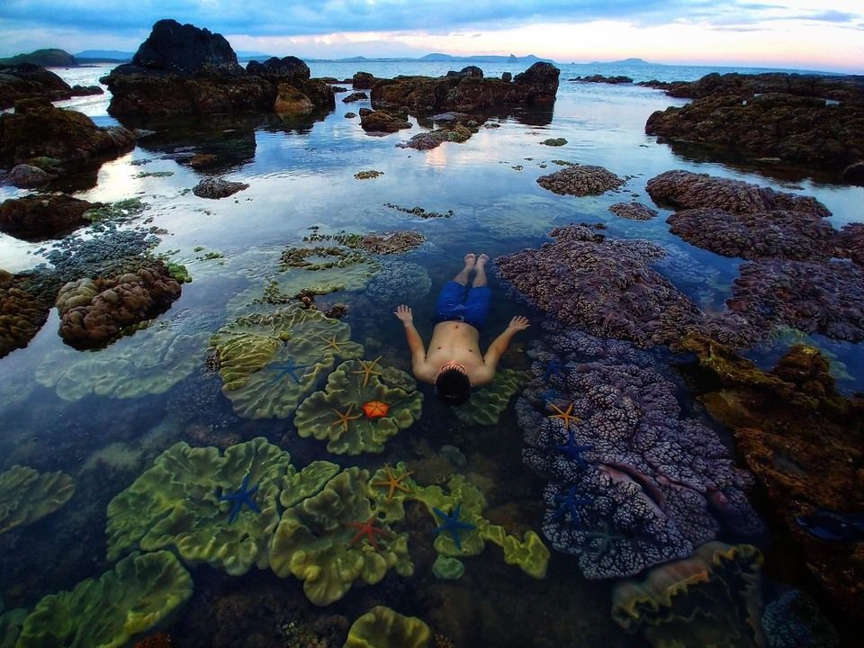 TOUR QUY NHƠN – PHÚ YÊN 3N2D “XỨ NẪU CHAN CHỨA TÌNH”