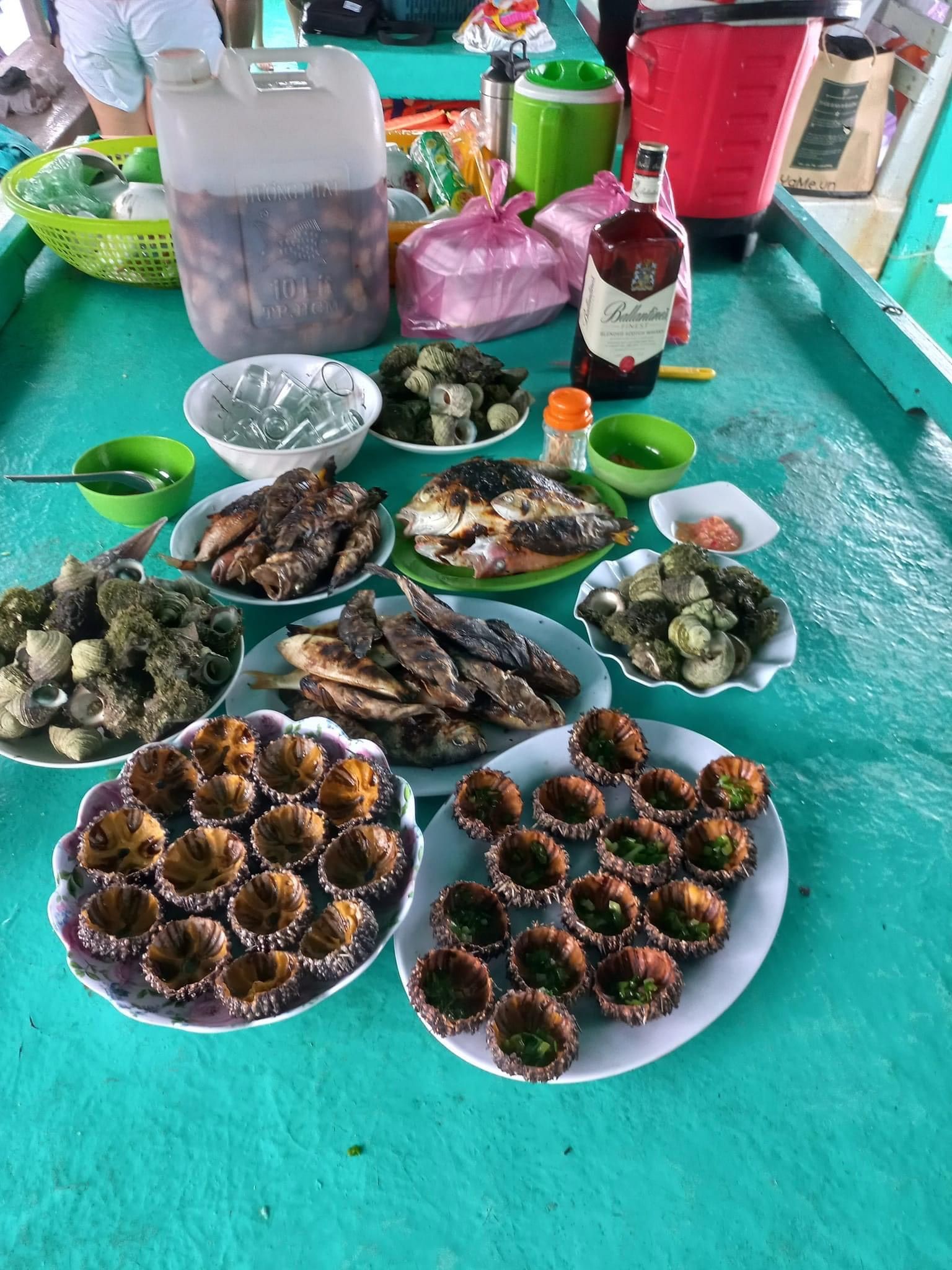 CHO THUÊ TÀU CÂU CÁ, LẶN NGẮM SAN HÔ, CÂU MỰC ĐÊM ĐẢO NAM DU