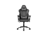  Ghế AKRacing Series LX Plus - Black 
