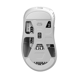  Chuột Pulsar Xlite Wireless v2 