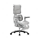  Ghế Công Thái Học Sihoo Doro S300 (Sihoo AU-1) 
