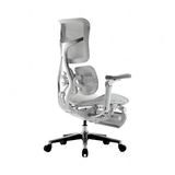  Ghế Công Thái Học Sihoo Doro S300 (Sihoo AU-1) 