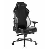  Ghế gaming DXRacer Craft Pro Stripes1 Black White 