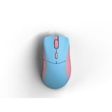  Chuột không dây siêu nhẹ Glorious Model D PRO | Forge Limited Edition - Blue Pink 