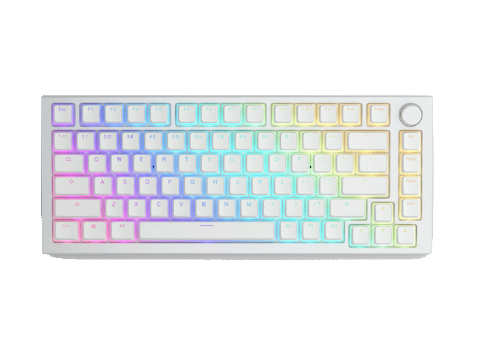  Bàn phím cơ Glorious GMMK PRO RGB White Ice 