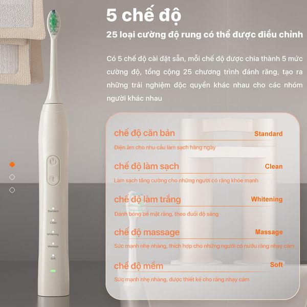 Bàn chải đánh răng điện Bomidi TX5 - Bản Quốc Tế